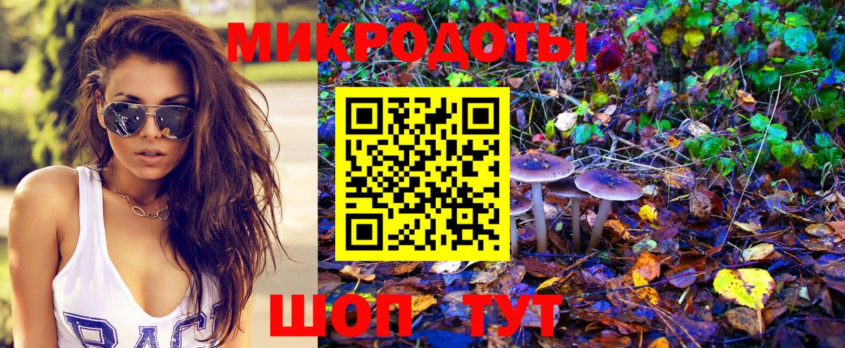Тихорецк  Галлюциногенные грибы Psilocybine cubensis  наркота  Вход с VPN 