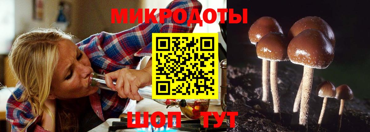 Псилоцибиновые грибы ЛСД Тихорецк